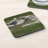 カモメが飛び散る コースター (左側)