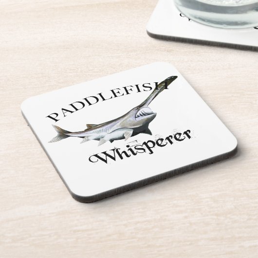 カモメささやき コースター (左側)