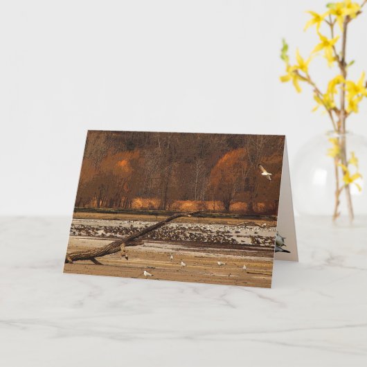 カモメとガチョウの父親の日 カード (黄色い花)