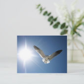 カモメとスンリ ポストカード (スタンド正面)