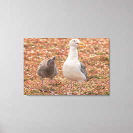 カモメとヒヒ キャンバスプリント