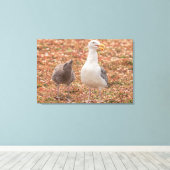 カモメとヒヒ キャンバスプリント (インサイチュ (ウッドフロア))