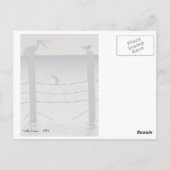 カモメとペリカン ポストカード (裏面)