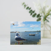 カモメとボートと海 ポストカード (スタンド正面)