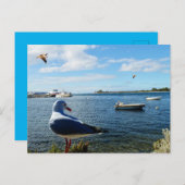 カモメとボートと海 ポストカード (正面/裏面)