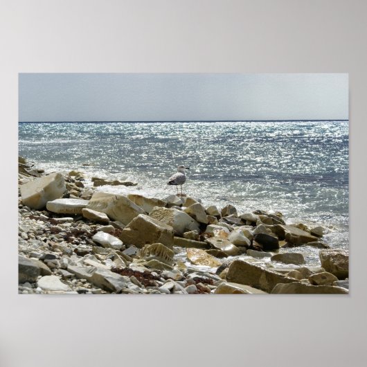 カモメと海 ポスター (正面)