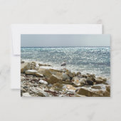 カモメと海 出欠カード (正面)