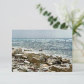 カモメと海 出欠カード (スタンド正面)