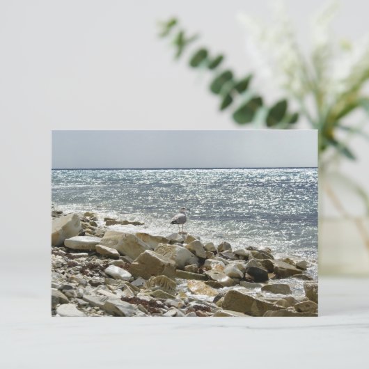 カモメと海 出欠カード (スタンド正面)