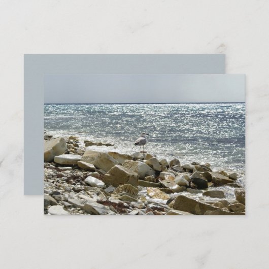 カモメと海 出欠カード (正面/裏面)