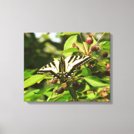 カモメと蝶 キャンバスプリント