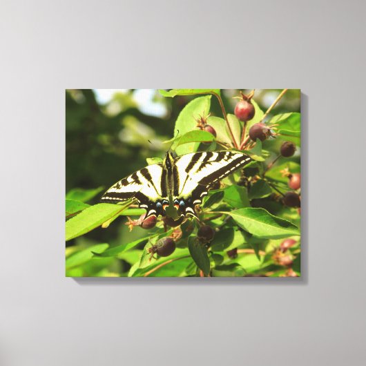 カモメと蝶 キャンバスプリント (正面)