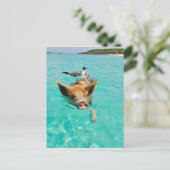 カモメと豚 ポストカード (スタンド正面)