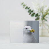 カモメにも愛が必要 ポストカード (スタンド正面)