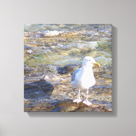 カモメのキャンバス印刷 キャンバスプリント