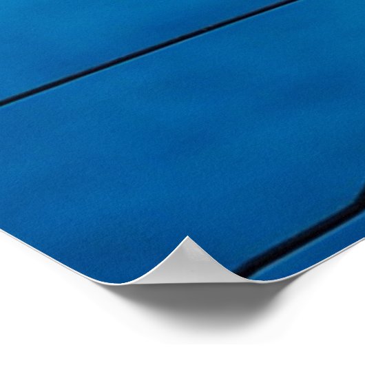 カモメのクローズアップ ポスター (角)