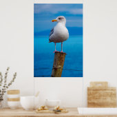 カモメのクローズアップ ポスター (キッチン)