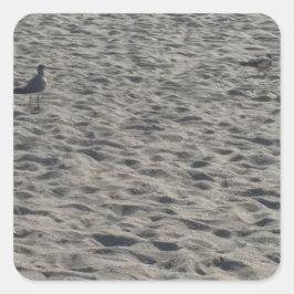 カモメのシール スクエアシール