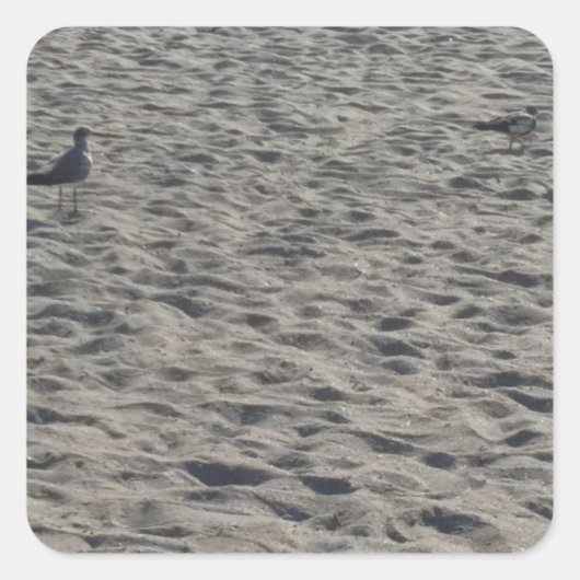 カモメのシール スクエアシール (正面)