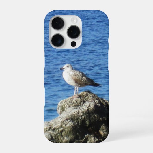 カモメのスマホケース iPhoneケース (裏面)