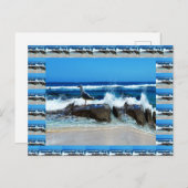 カモメのビーチ岩 ポストカード (正面/裏面)