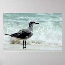 カモメのポスタープリント ポスター