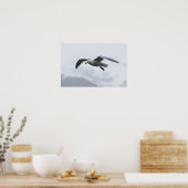カモメのポスター2 ポスター (キッチン)