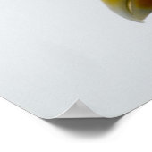 カモメのポスター6 ポスター (角)