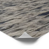 カモメのポスター ポスター (角)