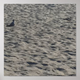 カモメのポスター ポスター