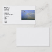 カモメの写真が付いている川橋上の虹 名刺 (正面/裏面)