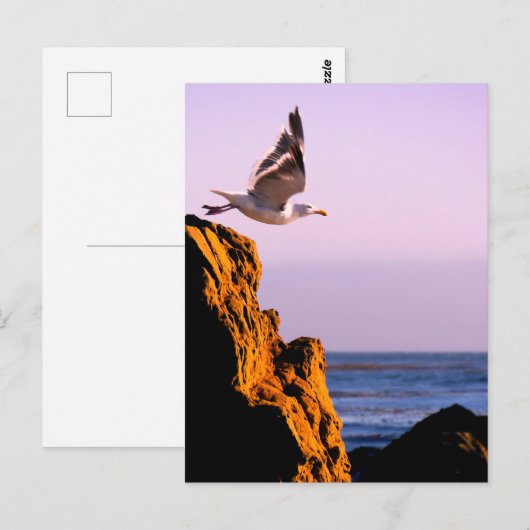 カモメの出航  ポストカード (正面/裏面)