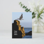 カモメの出航 ポストカード (スタンド正面)