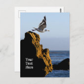 カモメの出航 ポストカード (正面/裏面)