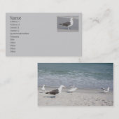 カモメの名刺 名刺 (正面/裏面)