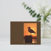 カモメの夕日 ポストカード (スタンド正面)