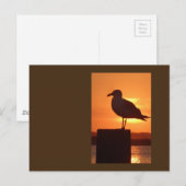 カモメの夕日 ポストカード (正面/裏面)