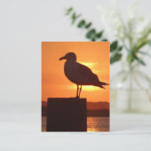 カモメの夕日 ポストカード (スタンド正面)