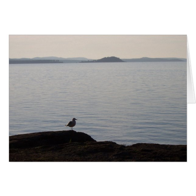 カモメの夢 (正面横)