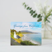 カモメの島 ポストカード (スタンド正面)