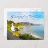 カモメの島 ポストカード (正面/裏面)