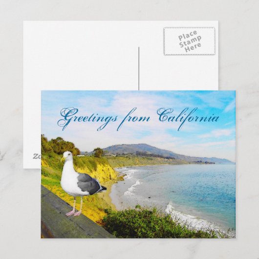 カモメの島 ポストカード (正面/裏面)