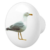 カモメの扉と引き出しハンドル セラミックノブ (右)