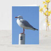 カモメの挨拶状 カード (黄色い花)