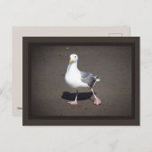 カモメの支柱はがき ポストカード (正面/裏面)