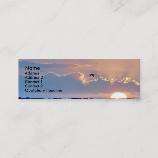 カモメの日没のプロフィールカード スキニー名刺 (正面)