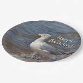 カモメの熟視 ペーパープレート (アングル)