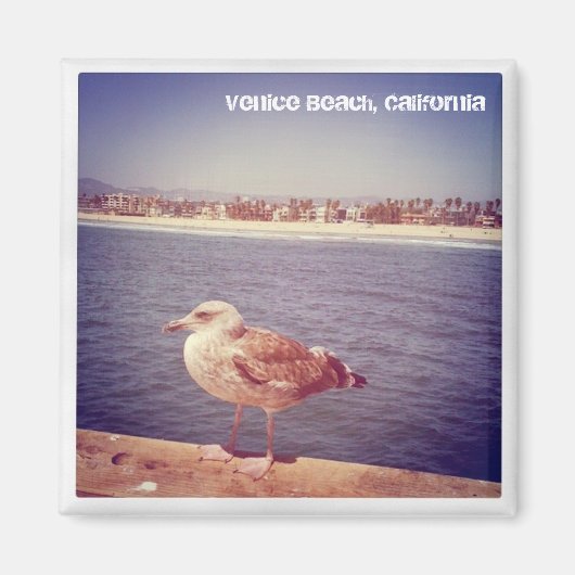 カモメの生活 マグネット (正面)