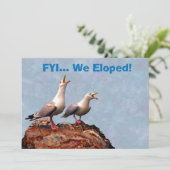 カモメの発表私達は駆け落ちしました 案内状 (スタンド正面)