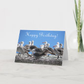 カモメの群れ写真すべての誕生日 カード (正面)